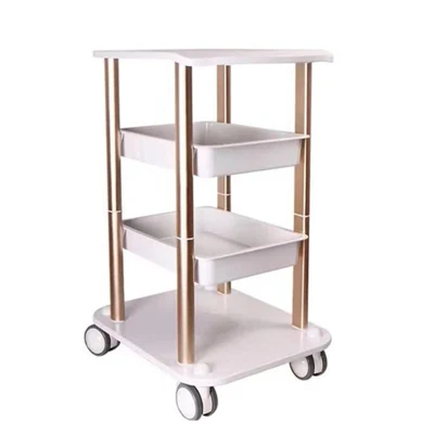 Hot Sale Beauty Equipment Salon Use Beauty Trolley mit 2 Schubladen